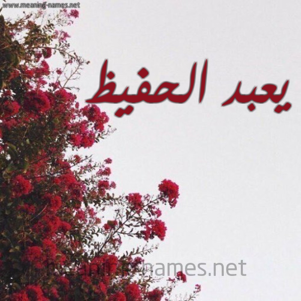 شكل 18 صوره الورد الأحمر للإسم بخط رقعة صورة اسم يعبد الحفيظ Abdul-Hafeez